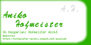 aniko hofmeister business card